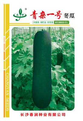 青杂一号冬瓜