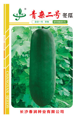 青杂二号冬瓜