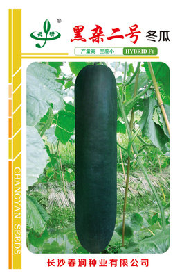 黑杂二号冬瓜