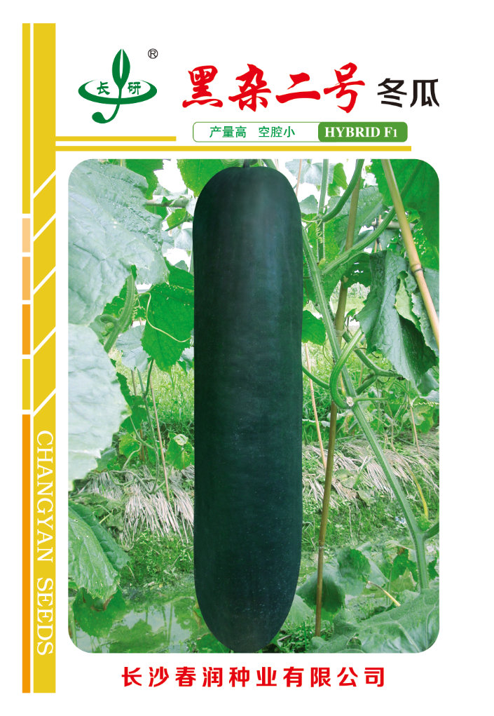 黑杂二号冬瓜