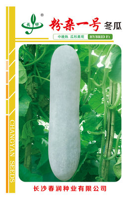 粉杂一号冬瓜