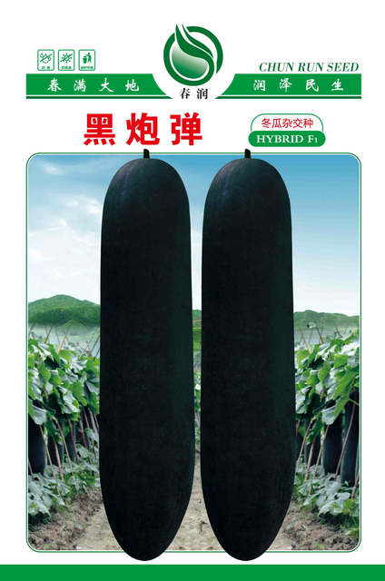 黑弹炮冬瓜