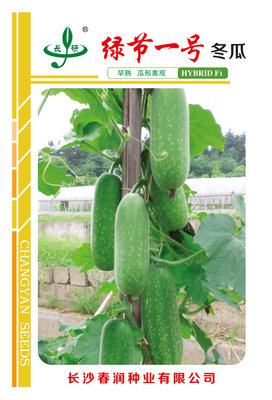 绿节一号冬瓜