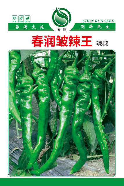 春润皱辣王
