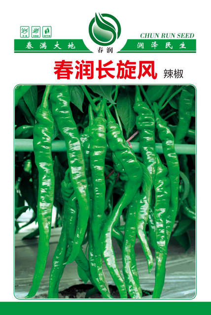 春润长旋风
