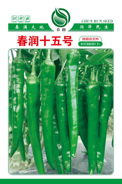 春润十五号