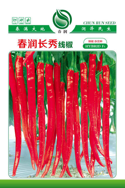 春润长秀线椒
