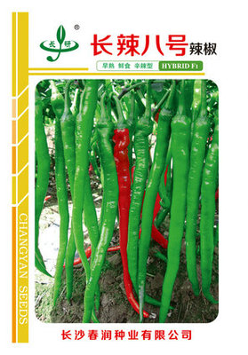 长辣八号