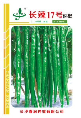 长辣17号