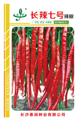 长辣7号