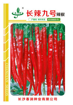 长辣九号