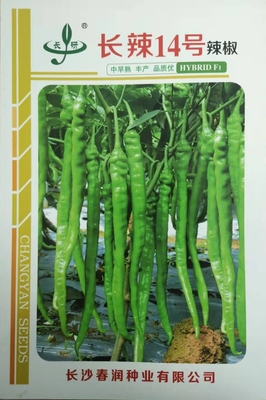 长辣14号
