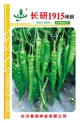 长研1915辣椒_12x18