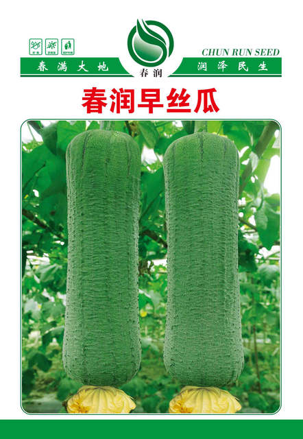 春润早丝瓜