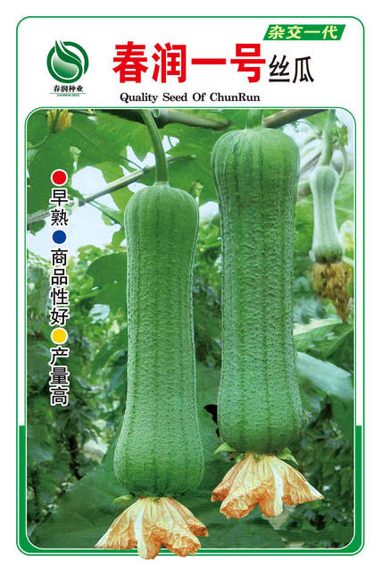 春润一号