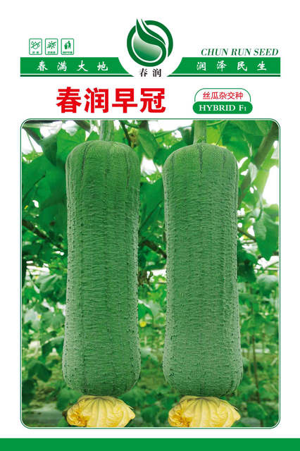 春润早冠