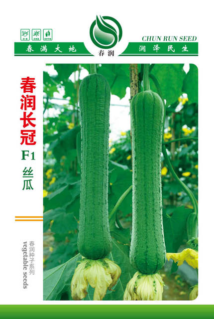 春润长冠