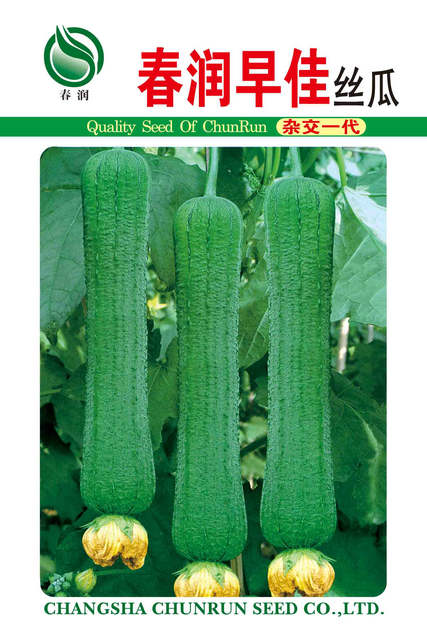 春润早佳