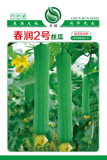 春润二号