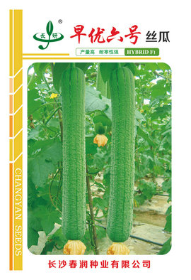 早优六号