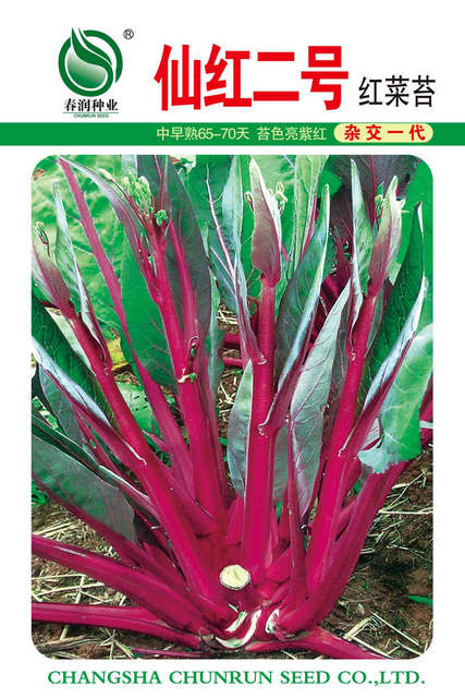 仙红一号