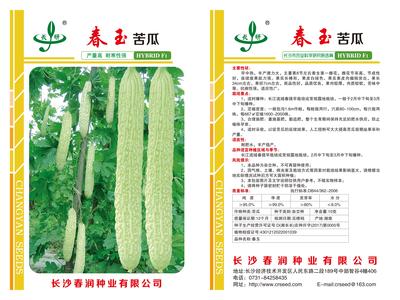 春玉苦瓜_12x18