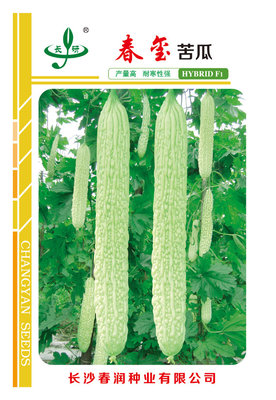 春玺苦瓜