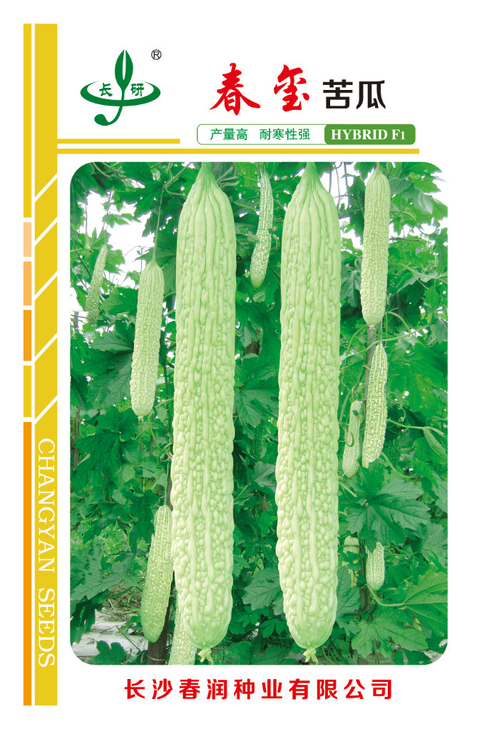 春玺苦瓜