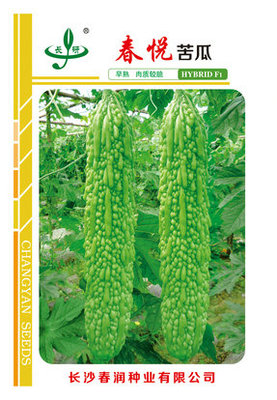 春悦苦瓜