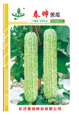 春帅苦瓜