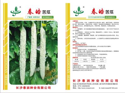 春皓苦瓜