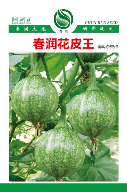 春润花皮王
