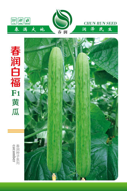 春润白福F1