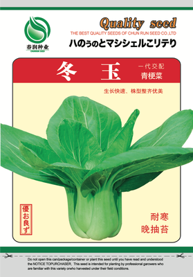 冬玉
