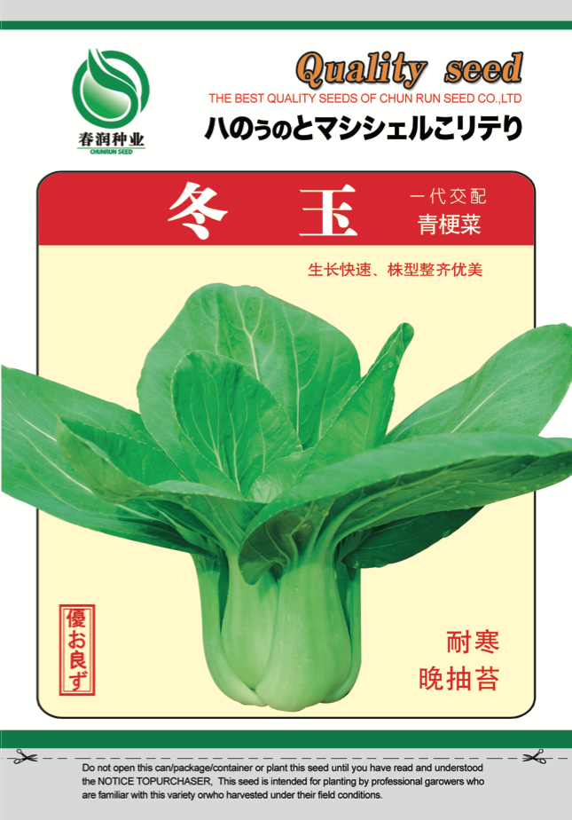 冬玉