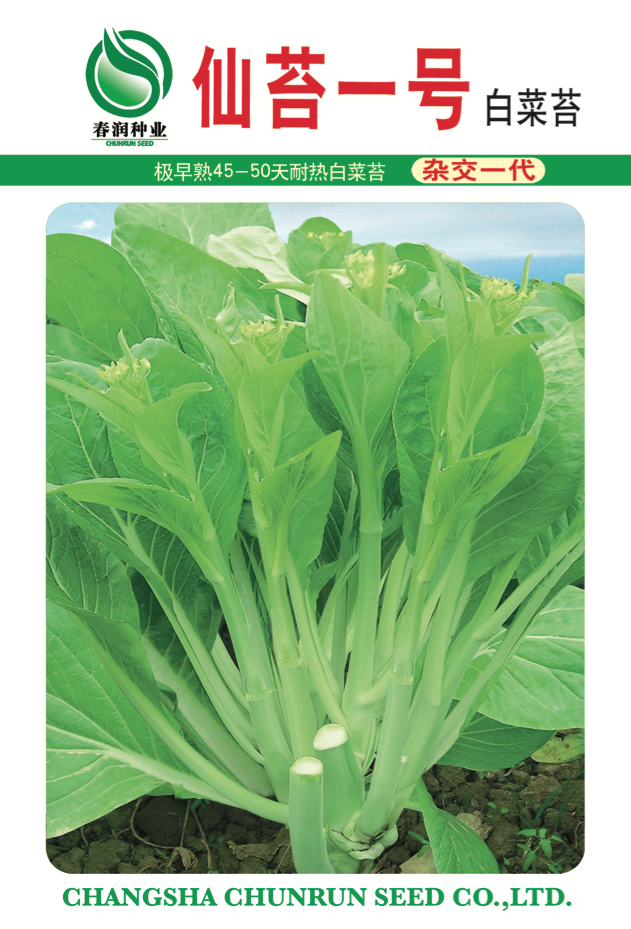 仙红二号