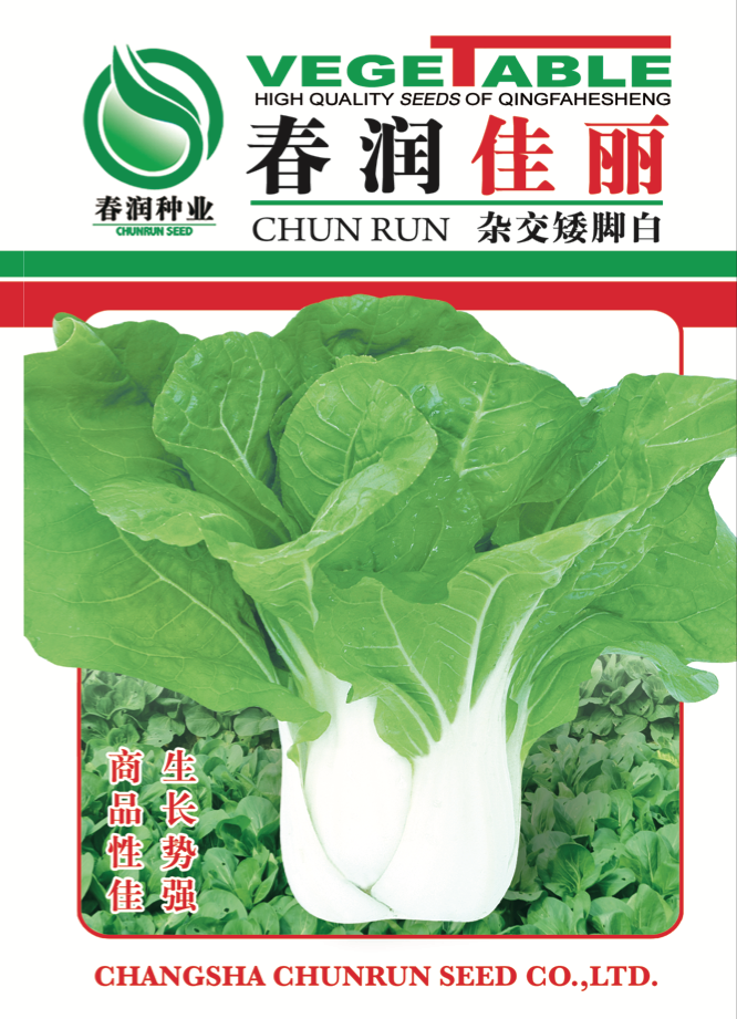 春润佳丽