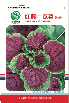红圆叶苋菜